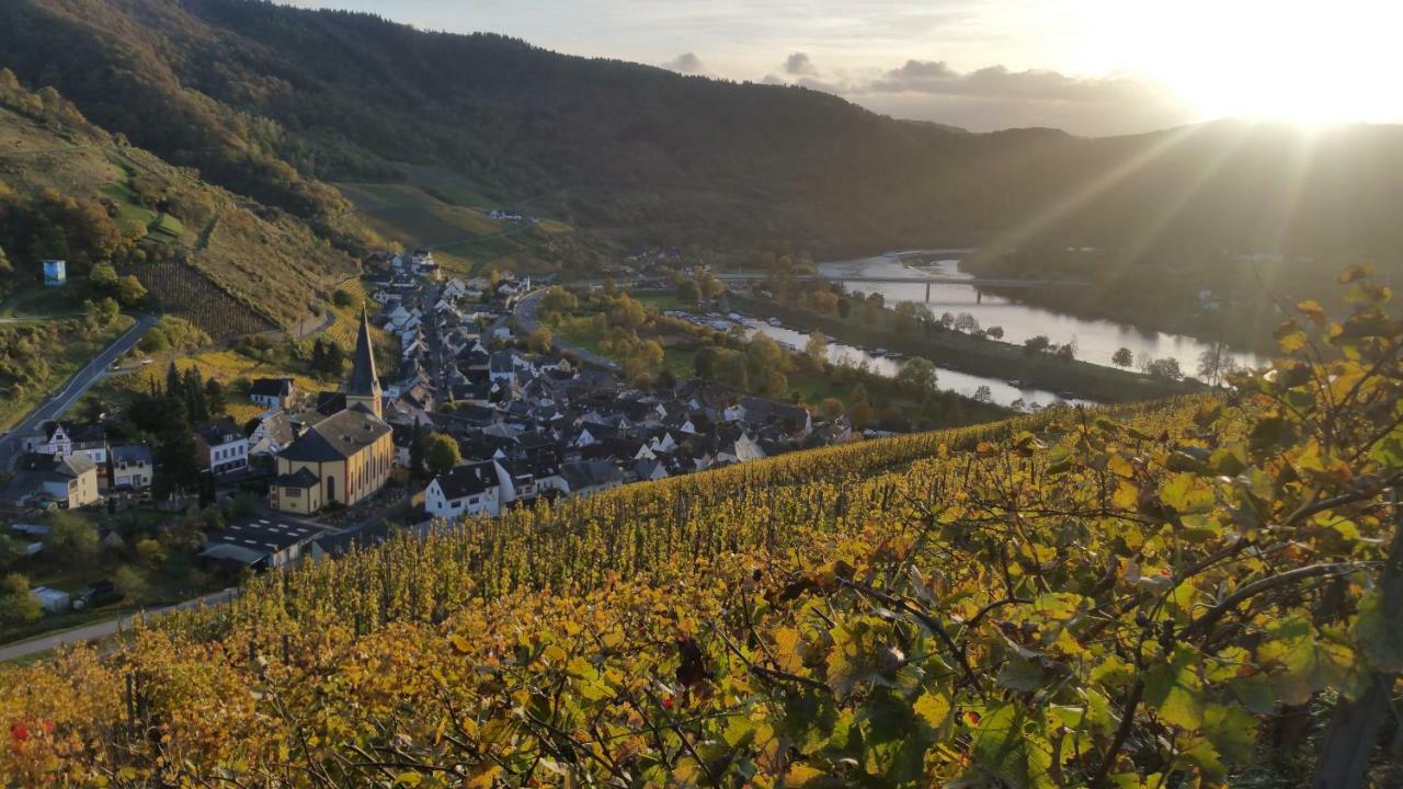 Appartement Haus Madle à Commune fusionnée de Cochem-Land Extérieur photo